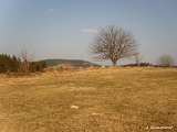 Le sommet de Moyemont offre une vue dégagée sur tous les environs